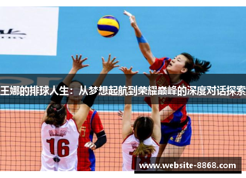 王娜的排球人生：从梦想起航到荣耀巅峰的深度对话探索